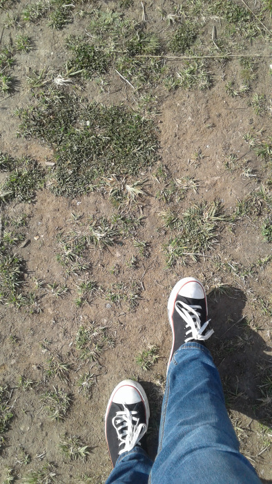 Петербург: фрагменты впечатлений 2