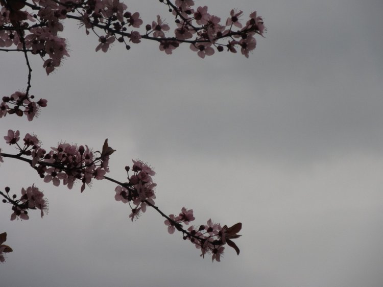 До пандемии. Путешествие по Италии, часть 3 (Флоренция, аутлет Барберино)