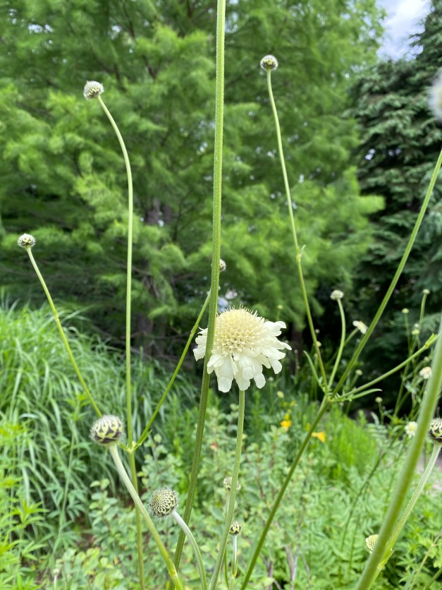 Галопом по Европам... 2 Часть