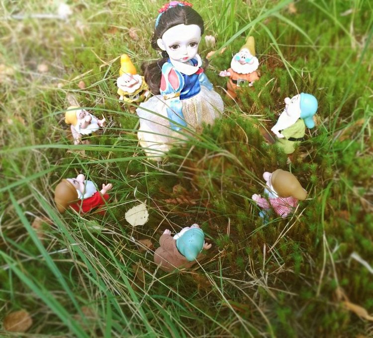 Осеннею порой под старою сосной... Принц, Белоснежка и гномы... встречаются