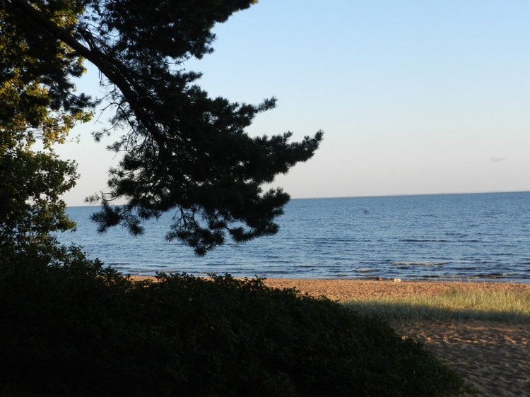 Немного позитива с Финского залива