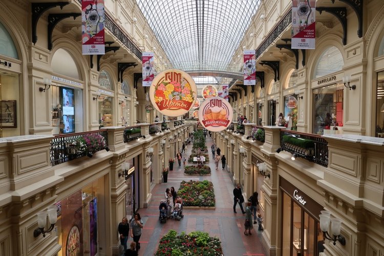 Знакомьтесь, новый вид медведей - медведь сумочный