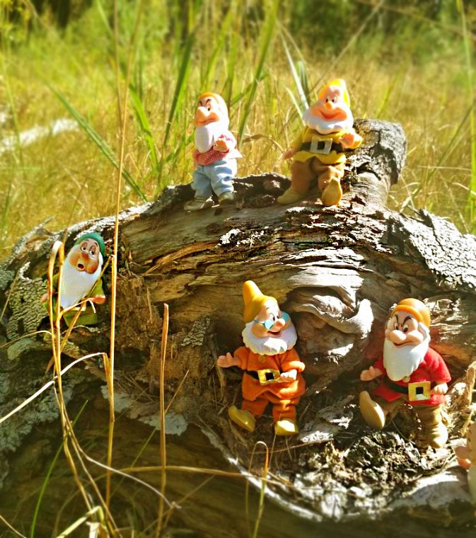 Осеннею порой под старою сосной... Принц, Белоснежка и гномы... встречаются