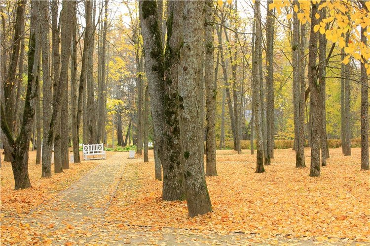 Золотая Осень в Берново с Имани. Mini Imani от Kaye Wiggs (фото 5)