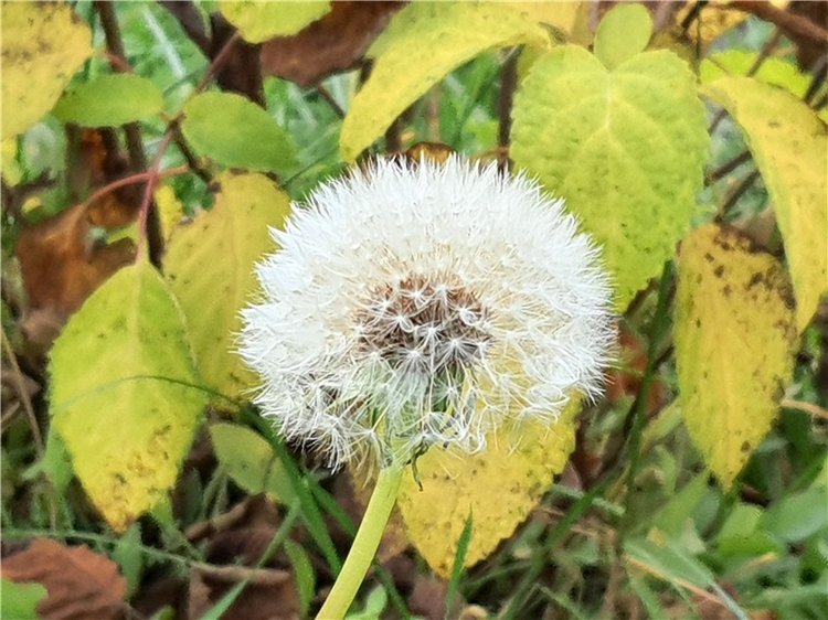 Путешествие по Святым местам Тверской области, продолжение