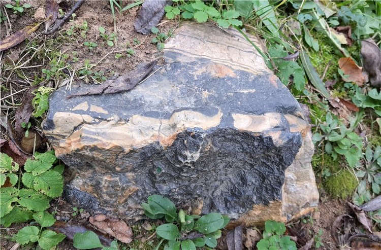 Путешествие по Святым местам Тверской области, продолжение