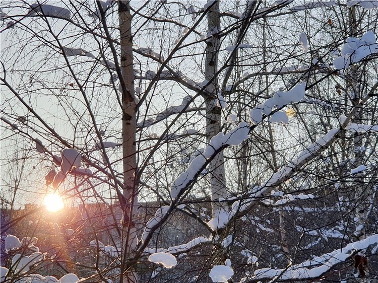 Снежно-Нежно Новогодний — Винтажные куклы ГДР (Немки): Бигги