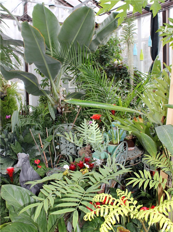 Тверской Ботанический Сад, продолжение | Бэйбики Тверской Ботанический Сад, продолжение