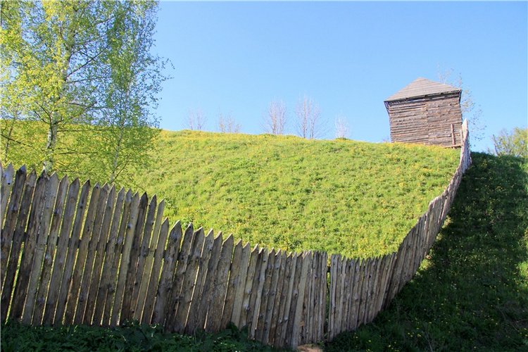 Одуванчиковая нежность, прогулка по Торжку