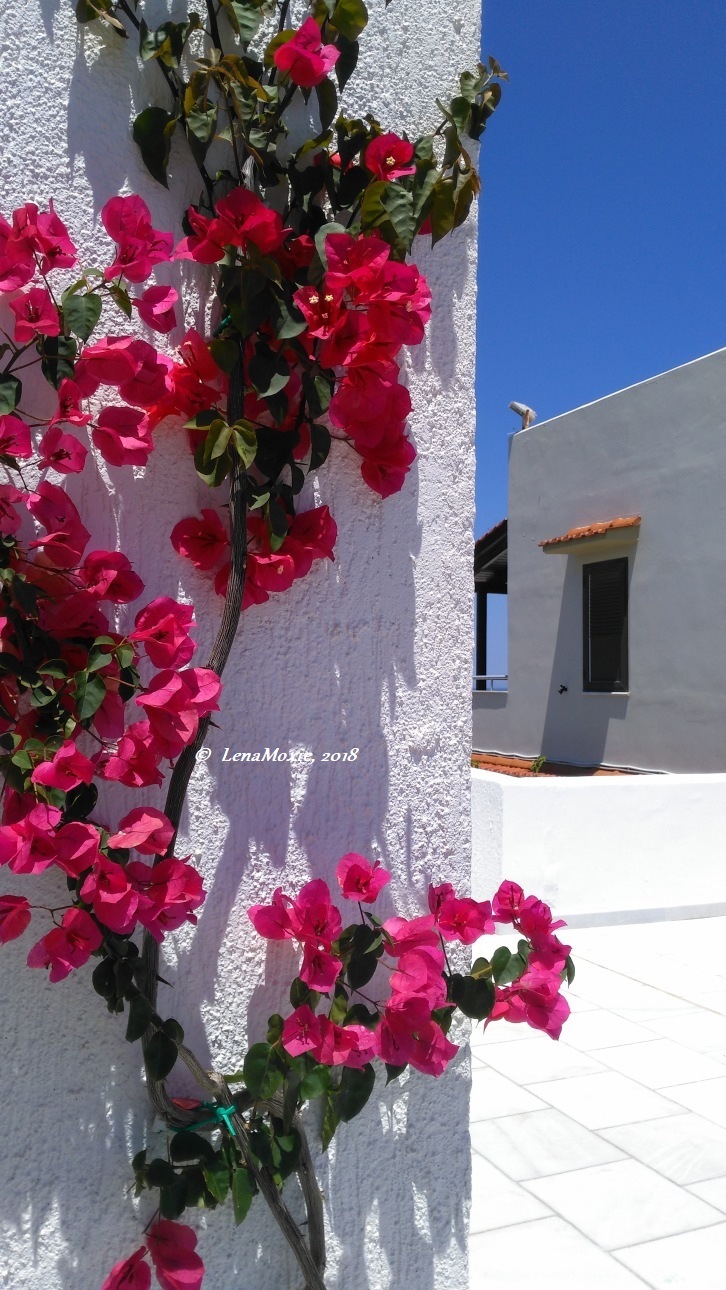 Kidz' тур. Нико на Крите. Аниссарас