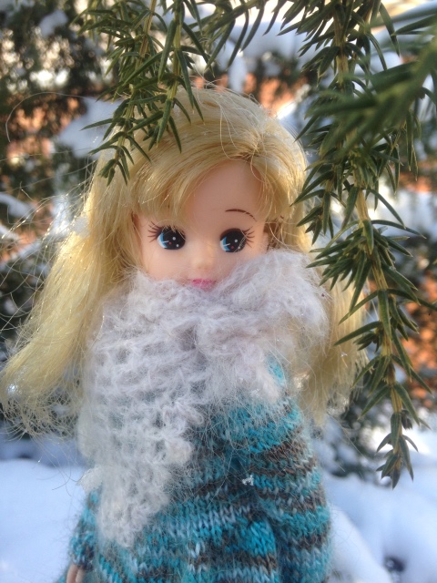 Снежная фотосессия с Licca, Takara