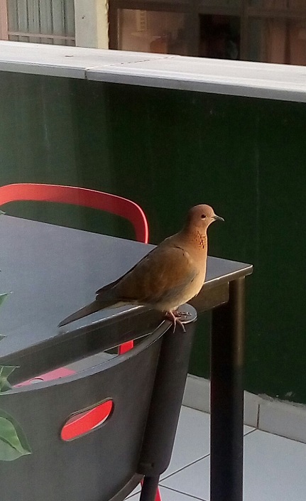 Путешествие в Стамбул — Туризм и путешествия: фотоотчеты из поездок