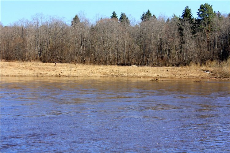 Апрельский день в Василёво, продолжение (фото 8)