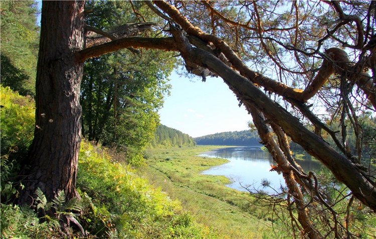 Старицкая Швейцария. Старицкие пещеры, д. Толпино, заключительная часть