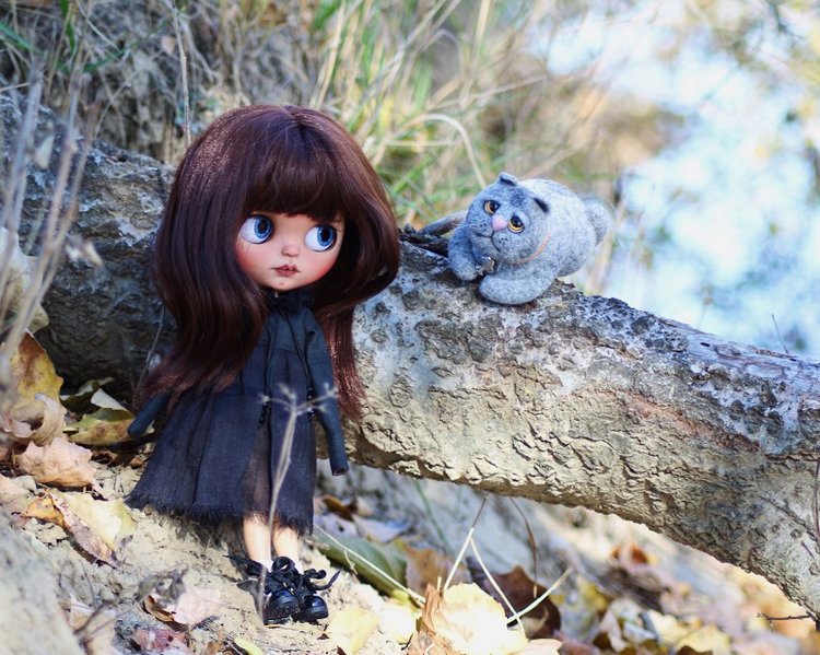 Кот и его девочка. Blythe tbl (фото 6)