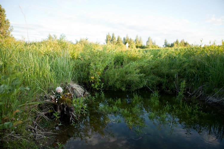 Возвращение эльфов из Усово | Бэйбики Возвращение эльфов из Усово