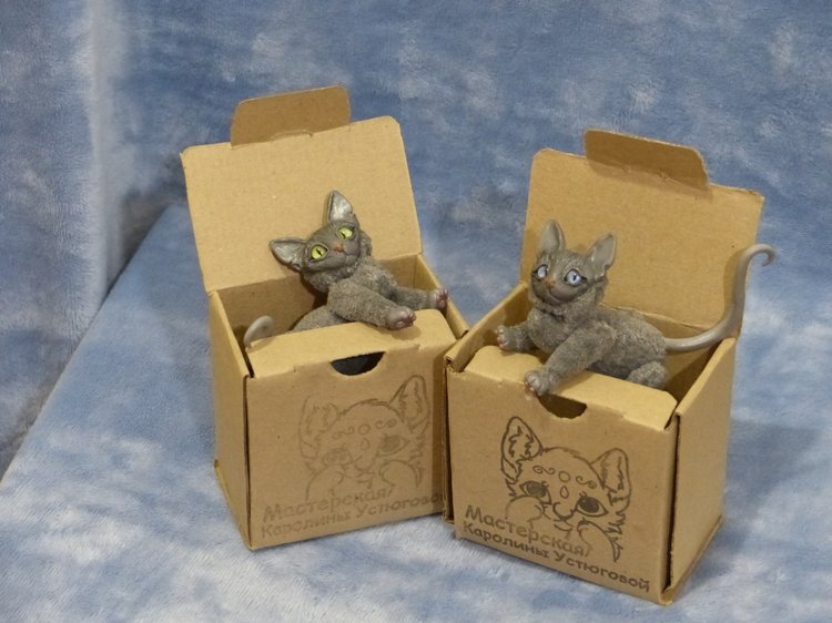 Сборы котиков в путь. Котики-призы конкурсов (фото 5)