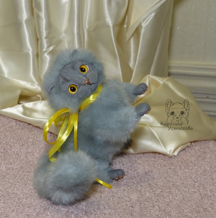 Котенок. Шотландский вислоухий (фото 5)