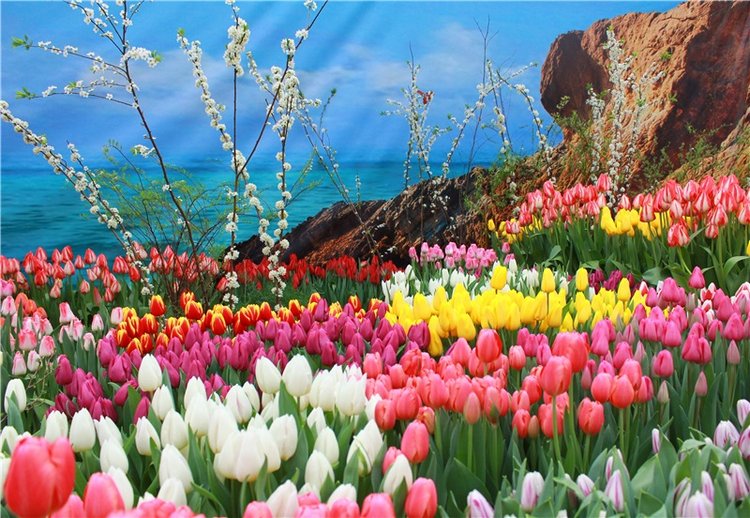 Тюльпановый Рай, продолжение. Выставка тюльпанов в Твери. Mini Layla elf Sunkissed skin от Kaye Wiggs