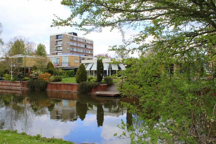 Цветущая Сакура. Прогулка по парку с Алисой. Весенние зарисовки