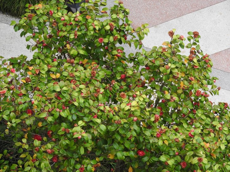 Сочи-Адлер: Южное Взморье - виртуальное путешествие по территории санатория