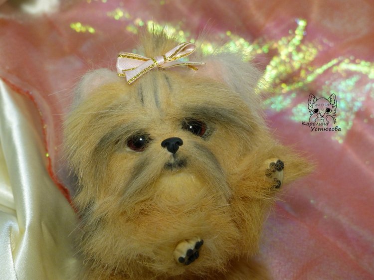 Еще один щенок Йоркширского терьера (фото 4)