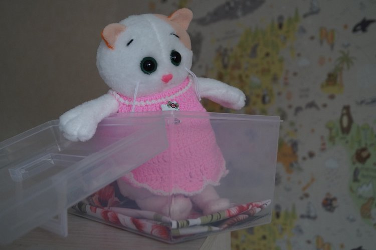 Как Агаша кошечку шила — Другие хобби и увлечения: сад