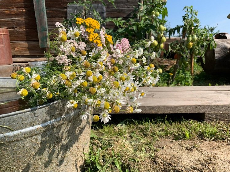 Лето - это маленькая жизнь (фото 6)