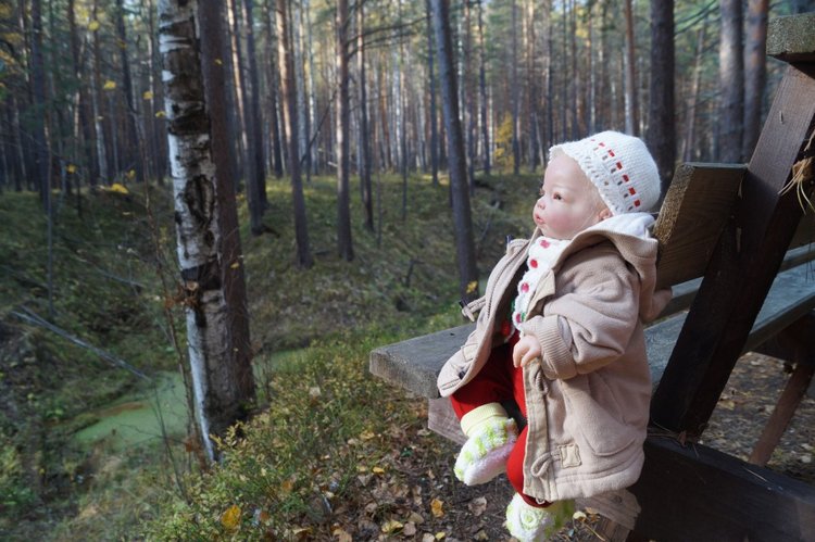 Хотите прогуляться по нашему городу? А за город - по экологической тропе (фото 8)