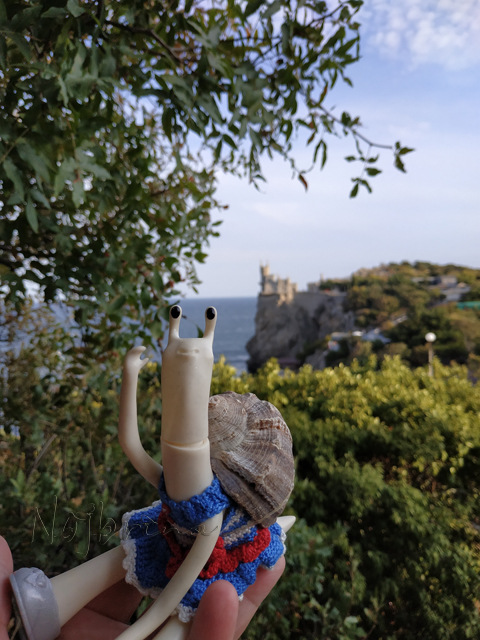 Wonderfrog. Красота в простоте. Часть 3