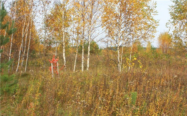 Кейт - Девочка Осень — Антикварные куклы Armand Marseille (AM): молд 390