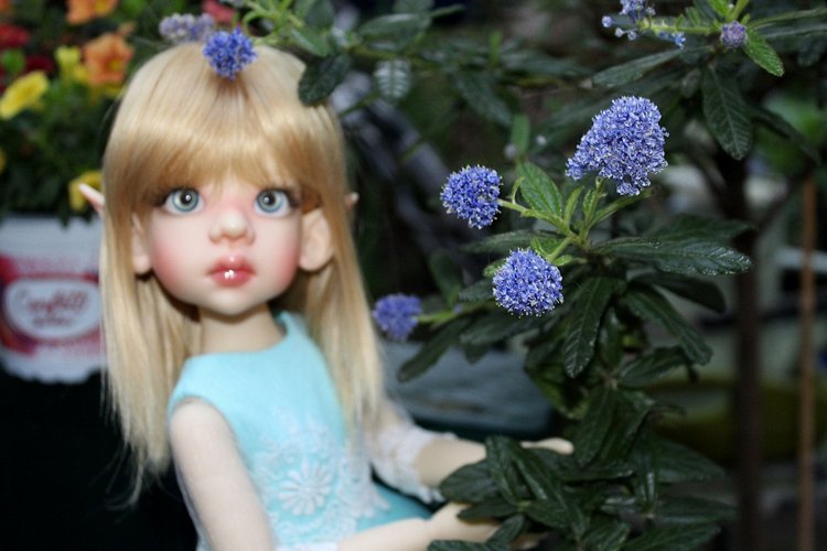 Талисса в весеннем саду — Куклы Kaye Wiggs (Кайе Виггс): авторские BJD (БЖД)