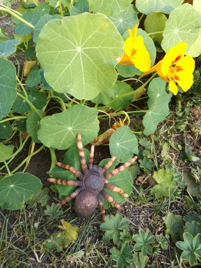 Любимые фигурки — Интересные игрушки и фигурки (разное): редкие