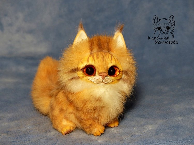 Карманный котеночек породы: Мейн-Кун (фото 7)