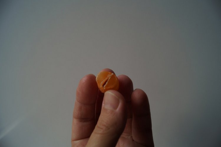 Куколки здоровы - пора выписываться