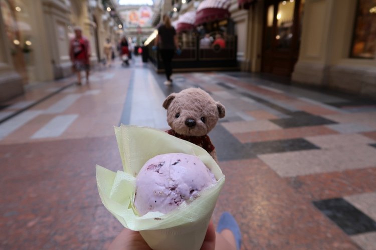 Знакомьтесь, новый вид медведей - медведь сумочный