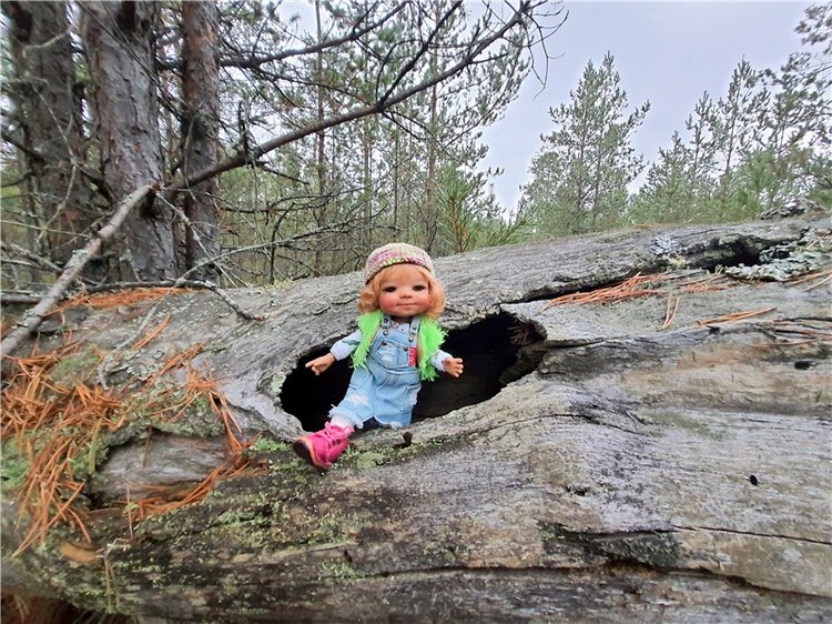 Сказка Оршинского Леса | Бэйбики Сказка Оршинского Леса — Куклы Meadow dolls (Медовушки): BJD (БЖД)