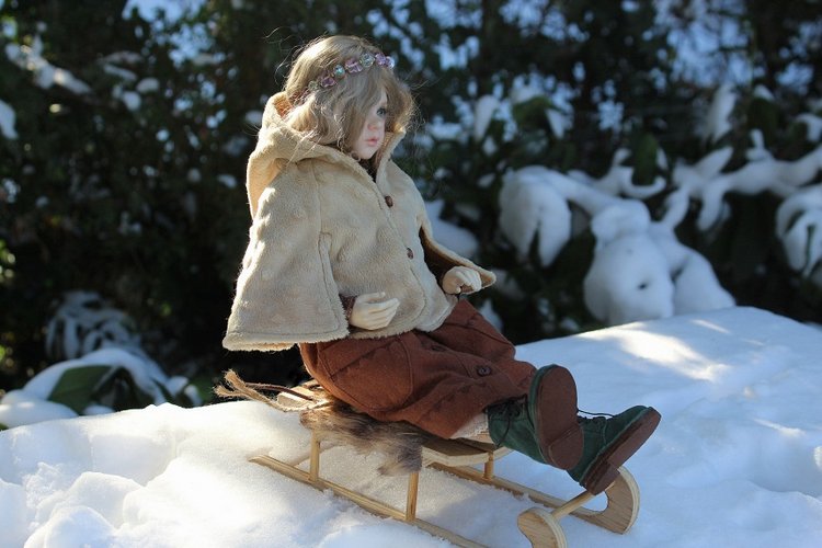 Розочка на снегу — Куклы Dollshe Craft (Доллше): BJD (БЖД)