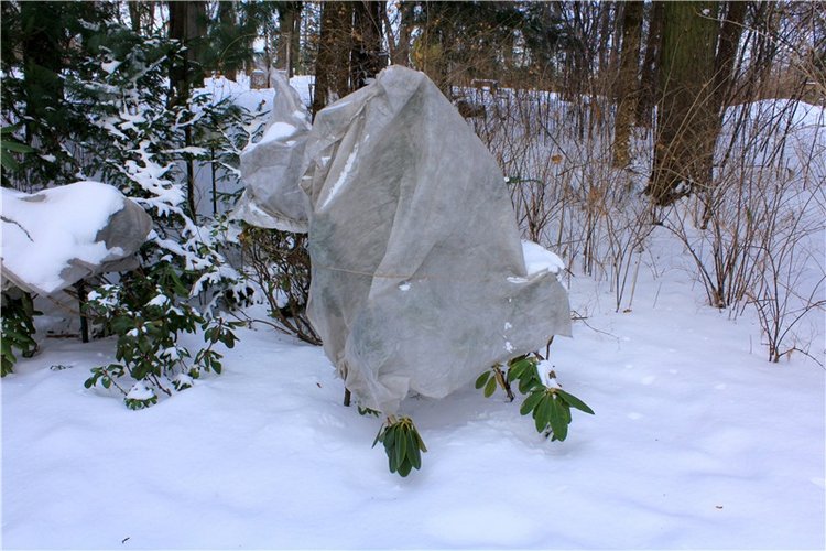 Тверской Ботанический Сад, заключительная часть