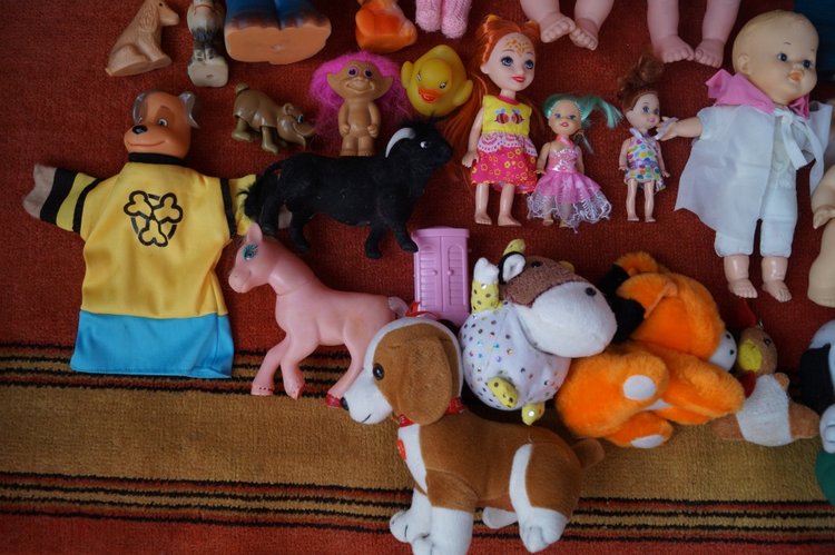 Новые пациенты приехали в посылке (фото 8)