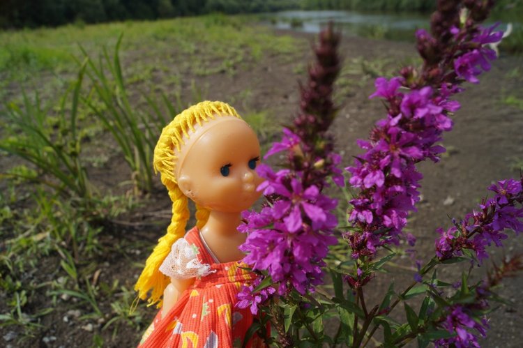 За хорошими эмоциями с семьёй на речку (фото 10)