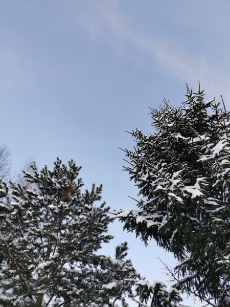 На позитиве — Интересные игрушки и фигурки (разное): редкие (фото 10)