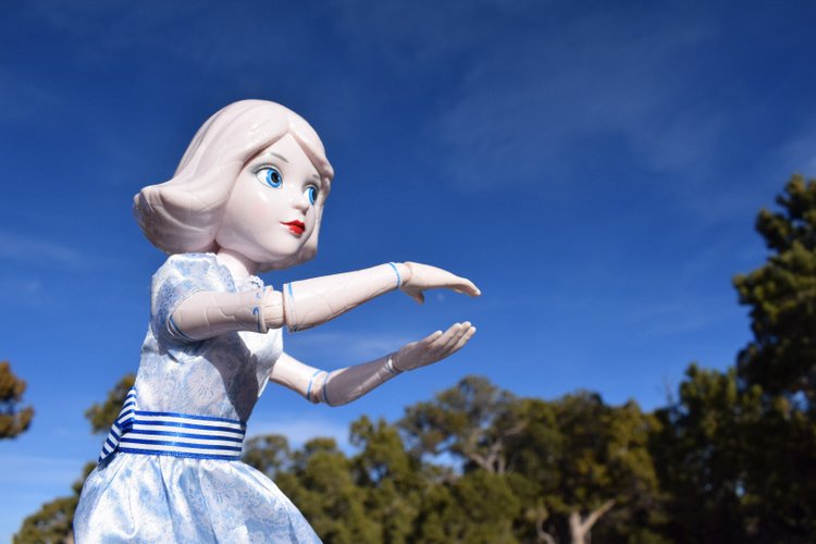 Моё сердечко — Разные шарнирные куклы (не БЖД): редкие