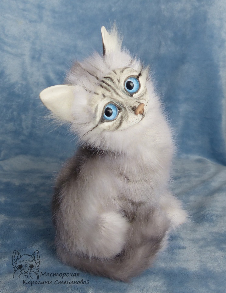 Невские Маскарадные коты серебристого окраса и Совята (фото 8)