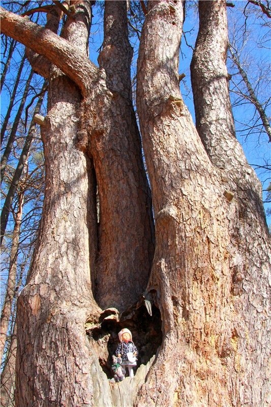 Апрельский день в Василёво