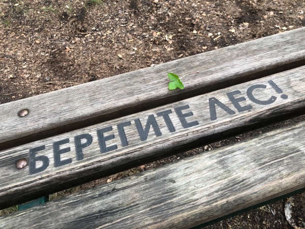 Амели - minifee RFA — Куклы Fairyland (ФэйриЛэнд): BJD (БЖД)