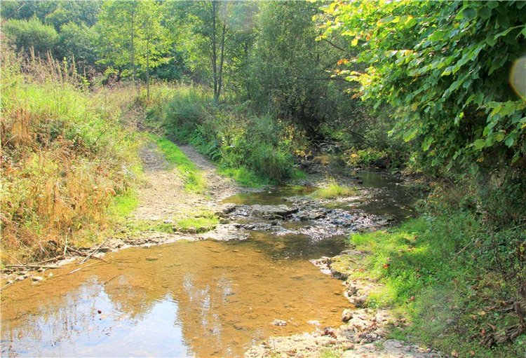 Старицкая Швейцария. Путешествие с Сашей, продолжение. Уникальная кукла от Сильвии Наттерер