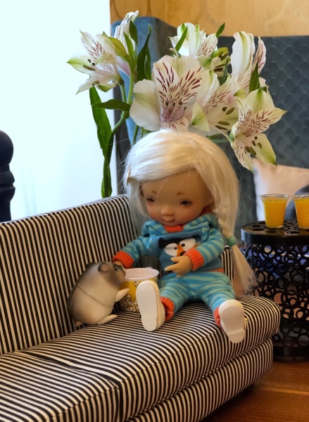 Знакомство Дрюши и Хомки — Куклы Irrealdoll (Ирреалдолл): BJD (БЖД) (фото 3)