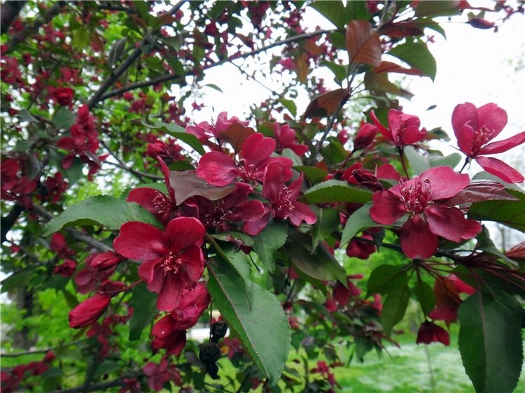 Милый мой город. Прогулка по Твери, заключительная часть