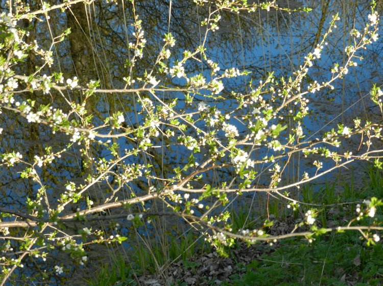 Прогулка подружек тёплым вечерком (фото 2)